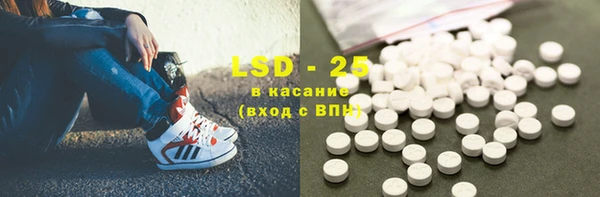 стаф Новозыбков
