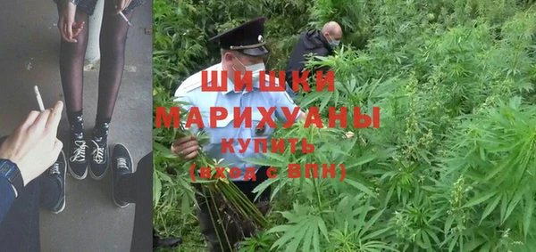 стаф Новозыбков