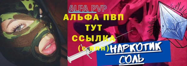 стаф Новозыбков