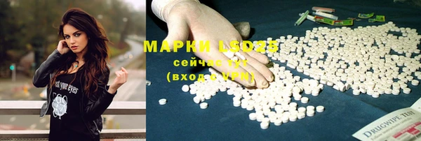 стаф Наволоки