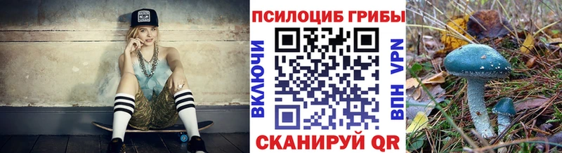 Галлюциногенные грибы Magic Shrooms  где продают   Новосиль 